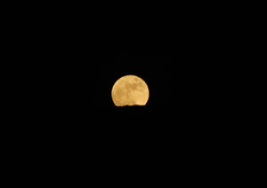 Rising moon