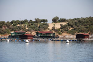 Cricket pavillions