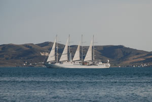 Wind Spirit or Wind Star