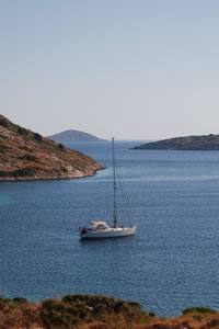 Serafina in Port Stretto (East Bay)