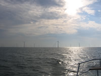 Wind farm near Gedser (Denmark)
