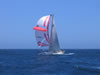Blond Moment