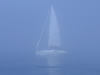 Bouzouki in the fog