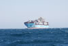 300 metre Container ship