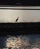 Lefkas Canal (1)