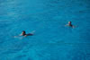 Anti Paxos