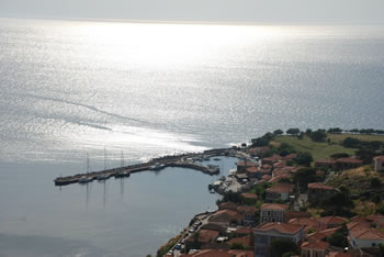 55
