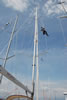 Flying High