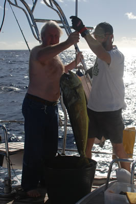 25
