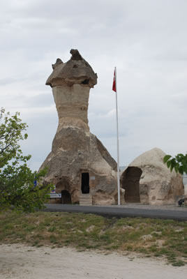 33