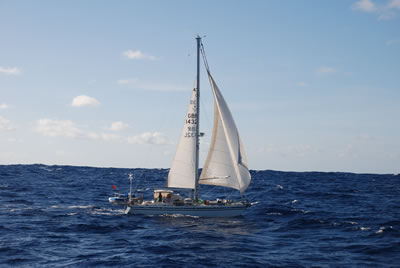 36