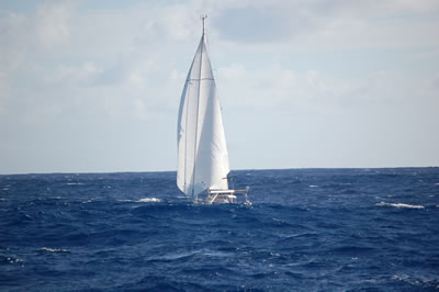 DSC 6796