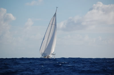 DSC 6804