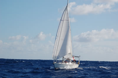 DSC 6825