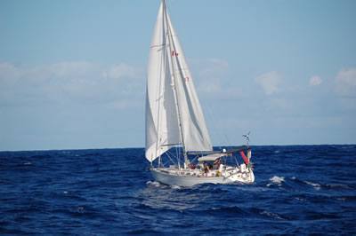 DSC 6847