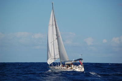 DSC 6850
