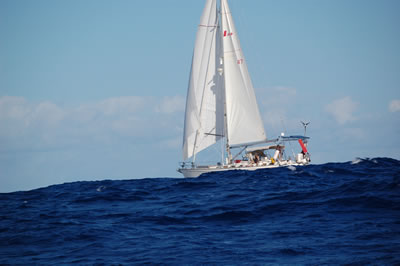 DSC 6851