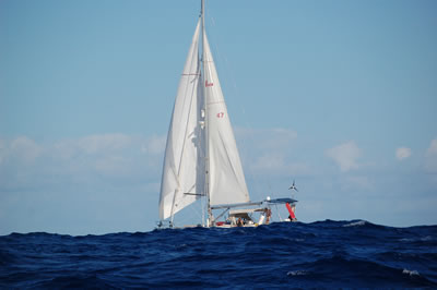 DSC 6852